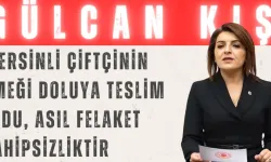 Gülcan Kış: 'Mersinli çiftçinin emeği doluya teslim oldu, asıl felaket sahipsizliktir'