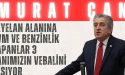 Murat Çan: 'Heyelan alanına AVM ve benzinlik yapanlar 3 canımızın vebalini taşıyor'