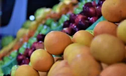 Türkiye'nin Her Bölgesine Uygun Kazançlı Meyve ve Sebzeler Açıklandı