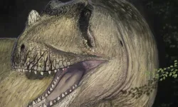 Uçak pistine benzeyen çenesiyle dikkat çekiyor: 500 dişli dinozor Nigersaurus