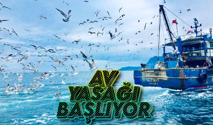 Denizlerde av yasağı başlıyor