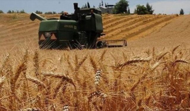 Bazı yağlarda Gümrük Vergisi sıfırlandı