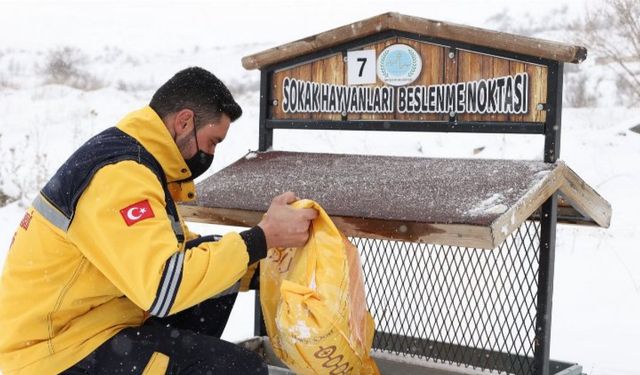 Nevşehir Belediyesi can dostları unutmadı