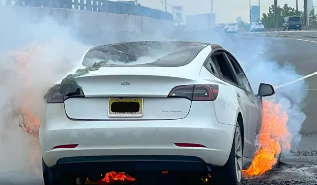 ABD’de Elektrikli Araç Kullanıcılarının Gözünde Tesla’nın İmajı Dibe Vurdu