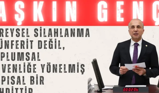Aşkın Genç: 'Bireysel silahlanma münferit değil, toplumsal güvenliğe yönelmiş yapısal bir tehdittir'
