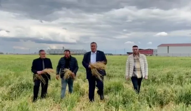 CHP Milletvekili Ömer Fethi Gürer: 'TMO ithalatı bırakıp çiftçinin kara gün dostu olmalı'