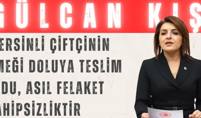 Gülcan Kış: 'Mersinli çiftçinin emeği doluya teslim oldu, asıl felaket sahipsizliktir'