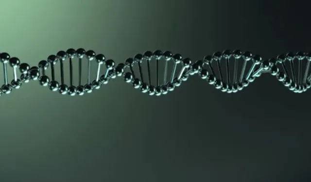 İnsan DNA'sının Uzunluğu Şaşırtıyor: Hücre Başına 2 Metre Genetik Bilgi