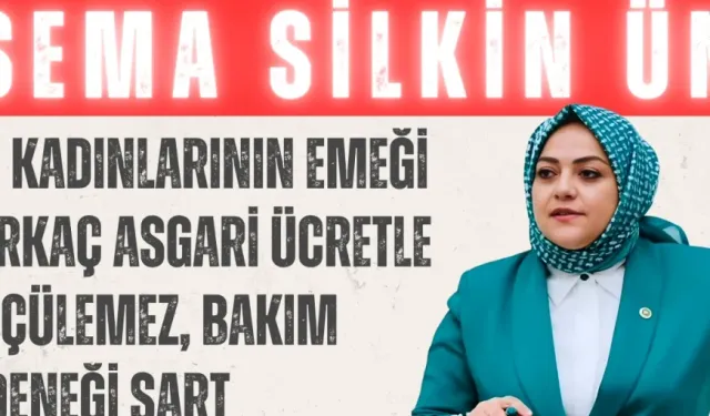 Sema Silkin Ün: ‘Ev kadınlarının emeği birkaç asgari ücretle ölçülemez, bakım ödeneği şart’
