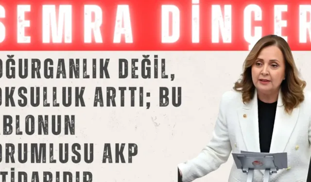 Semra Dinçer: 'Doğurganlık değil, yoksulluk arttı; bu tablonun sorumlusu AKP iktidarıdır'