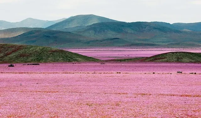 Yüzlerce Yıldır Yağmur Düşmeyen Atacama Çölü, Dünya’nın En Kurak Noktası