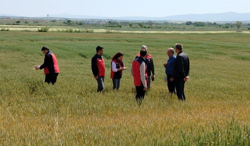 Çanakkale’de üreticilerin ekili dikili alanlarında saha incelemesi yapıldı