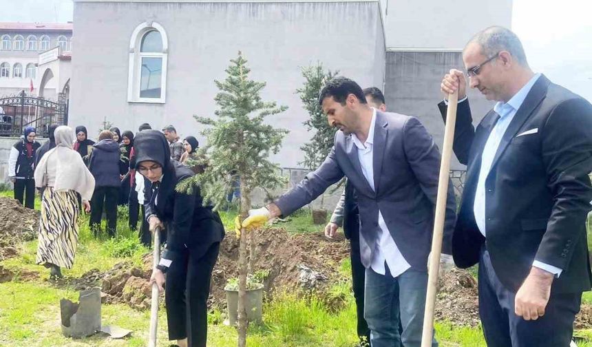 Yeşeren Umutlar, Filizlenen Gelecek
